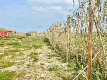 Terreno para Venda em Ferrel