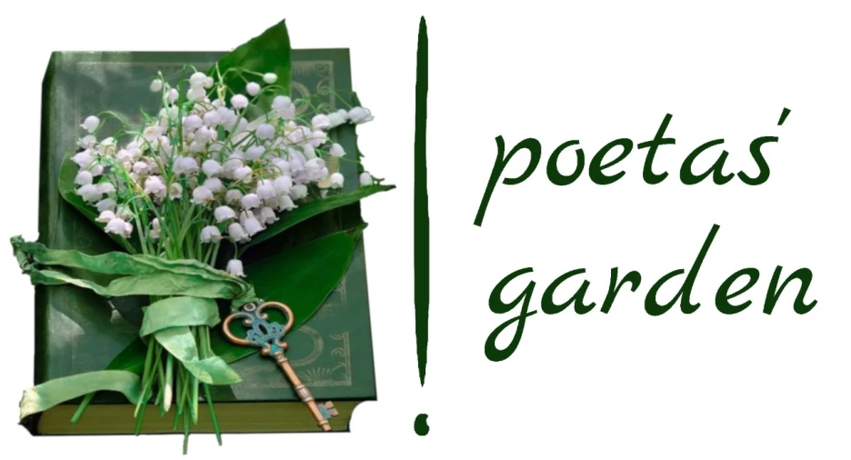 Apartamento T2 para Venda em Santo António dos Cavaleiros e Frielas Foto 4