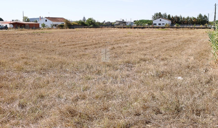 Terreno para Venda em Benavente Foto 6