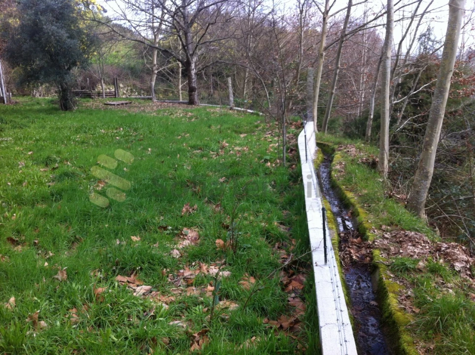 Terreno Agricola ou Rústico para Venda em Vila Boa de Quires e Maureles Foto 6
