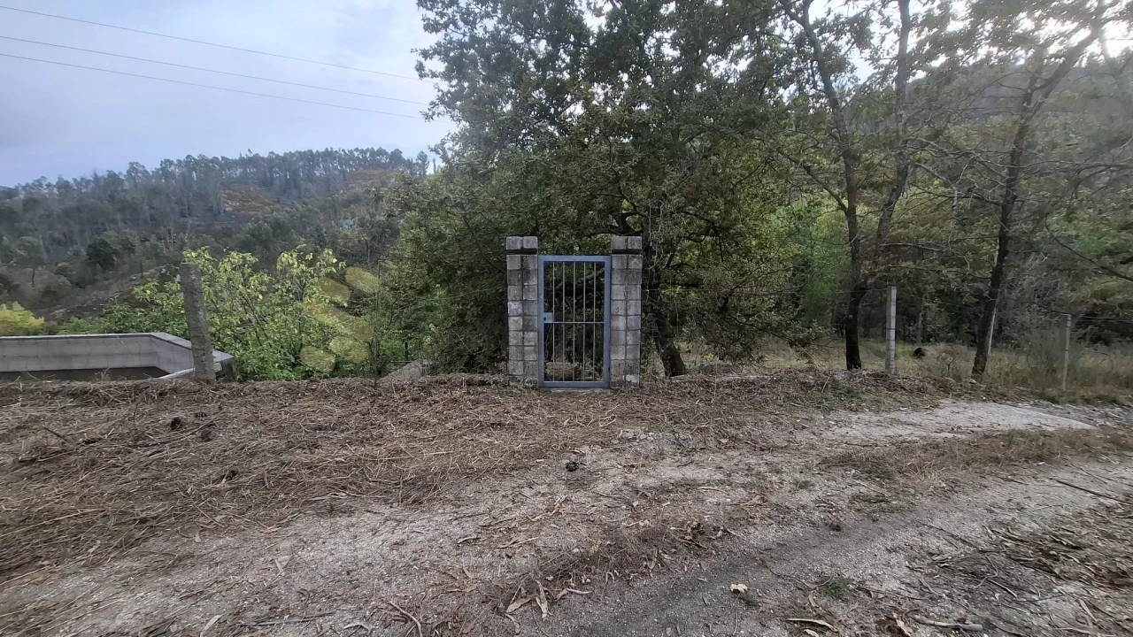 Terreno Agricola ou Rústico para Venda em Vila Boa de Quires e Maureles Foto 8
