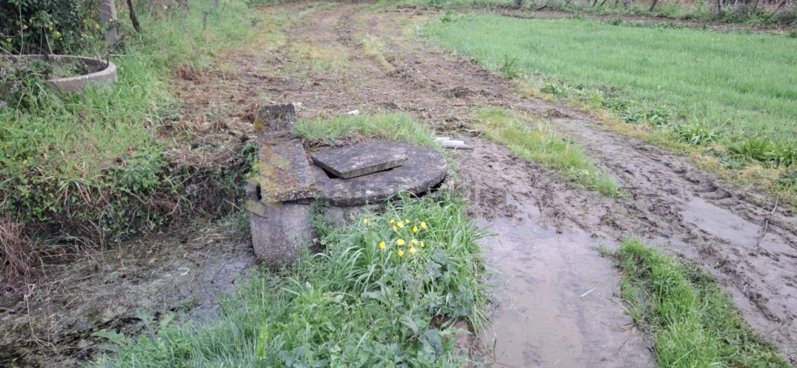 Terreno Agricola ou Rústico para Venda em Avessadas e Rosém Foto 5