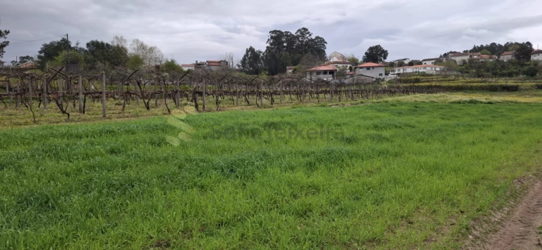 Terreno Agricola ou Rústico para Venda em Avessadas e Rosém Foto 4