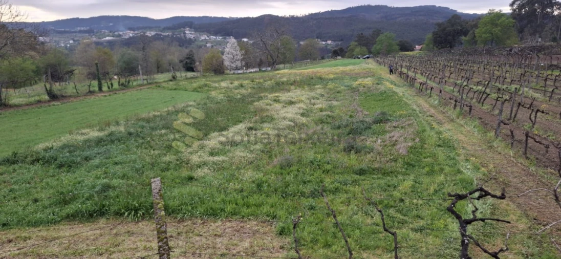 Terreno Agricola ou Rústico para Venda em Avessadas e Rosém Foto 8