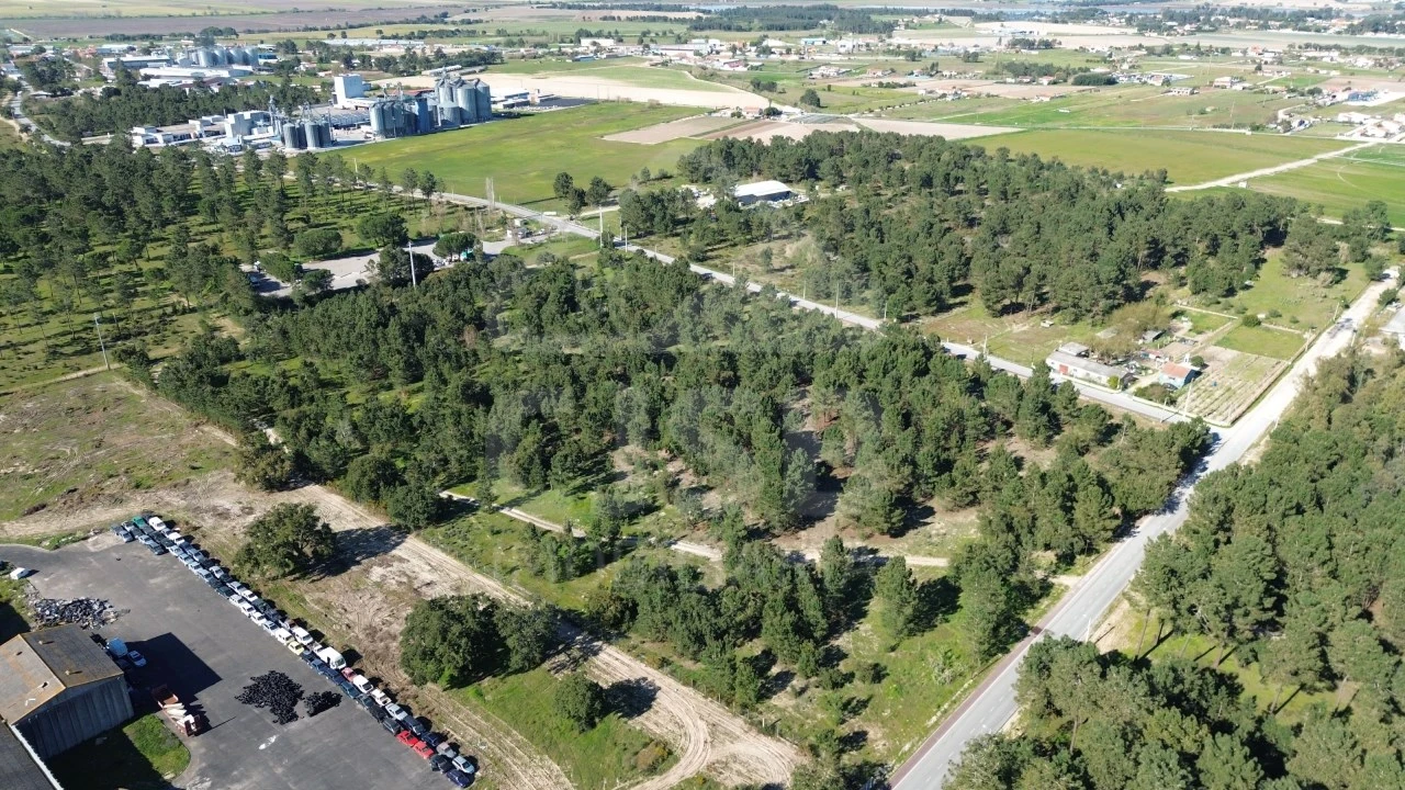 Terreno Comércio / Armazém para Venda em Salvaterra de Magos e Foros de Salvaterra Foto 1