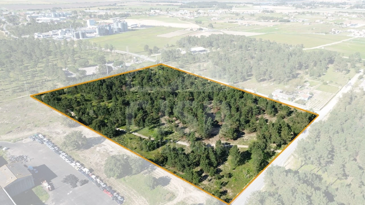 Terreno Comércio / Armazém para Venda em Salvaterra de Magos e Foros de Salvaterra Foto 2