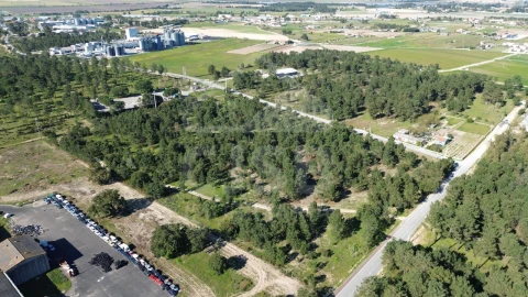 Terreno Comércio / Armazém para Venda em Salvaterra de Magos e Foros de Salvaterra