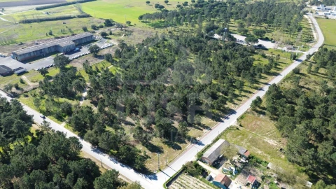 Terreno Comércio / Armazém para Venda em Salvaterra de Magos e Foros de Salvaterra