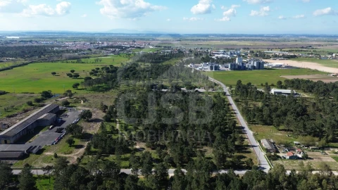 Terreno Comércio / Armazém para Venda em Salvaterra de Magos e Foros de Salvaterra