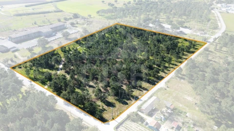 Terreno Comércio / Armazém para Venda em Salvaterra de Magos e Foros de Salvaterra