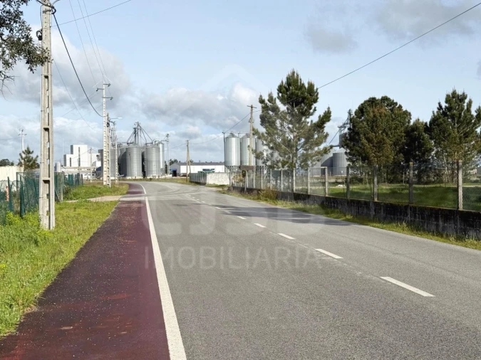 Terreno Comércio / Armazém para Venda em Salvaterra de Magos e Foros de Salvaterra Foto 16