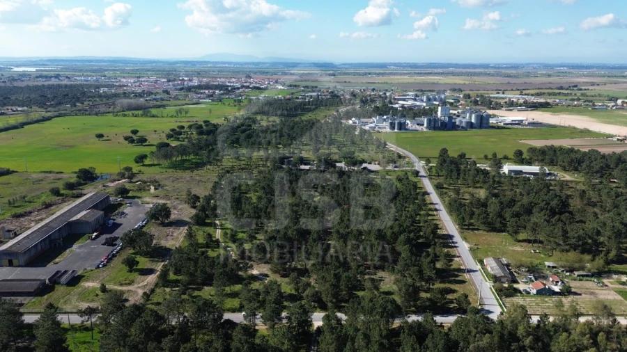 Terreno Comércio / Armazém para Venda em Salvaterra de Magos e Foros de Salvaterra Foto 5