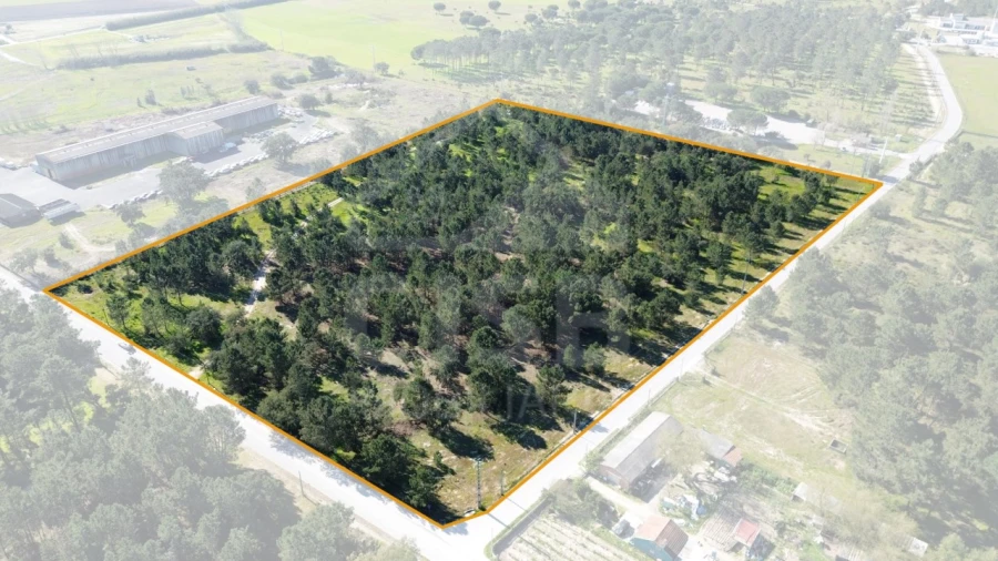 Terreno Comércio / Armazém para Venda em Salvaterra de Magos e Foros de Salvaterra Foto 4