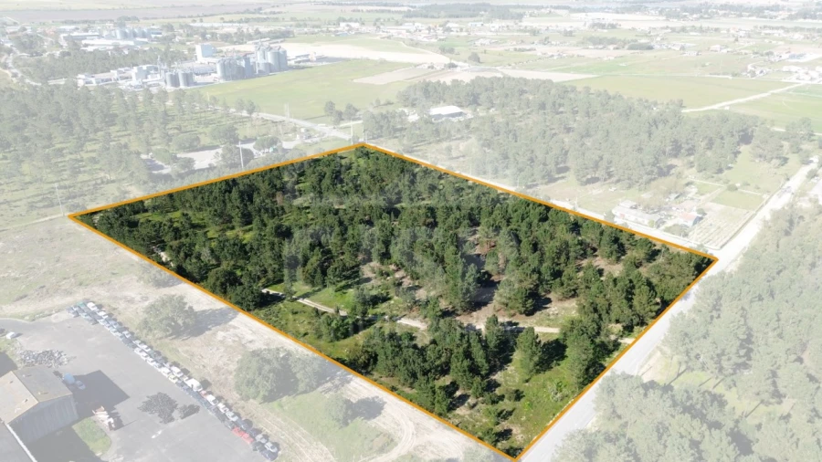 Terreno Comércio / Armazém para Venda em Salvaterra de Magos e Foros de Salvaterra Foto 2