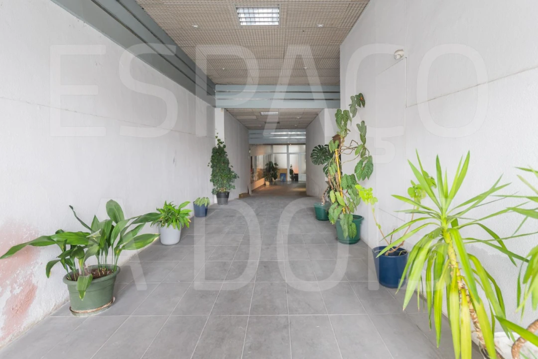 Armazém para Venda em Mina de Água Foto 3