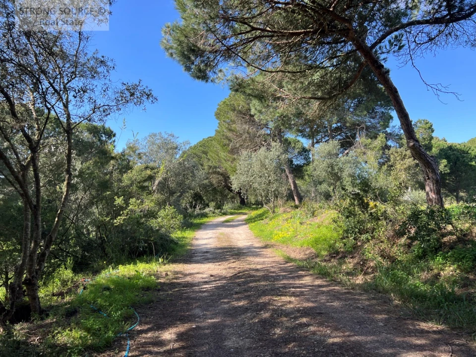 Moradia T7 para Venda em Sesimbra (Castelo) Foto 137