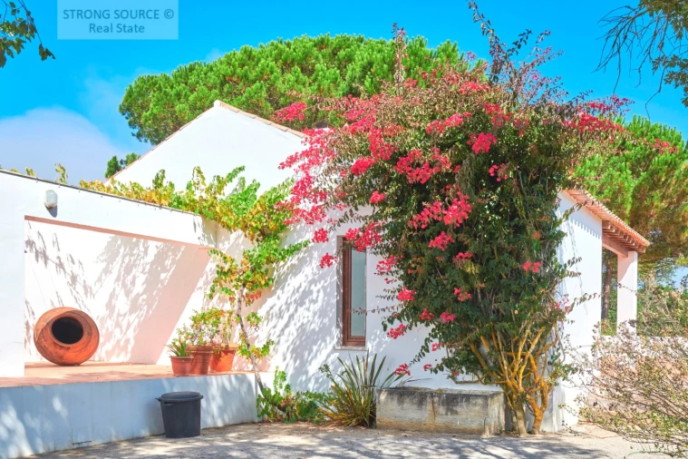 Moradia T7 para Venda em Sesimbra (Castelo) Foto 27