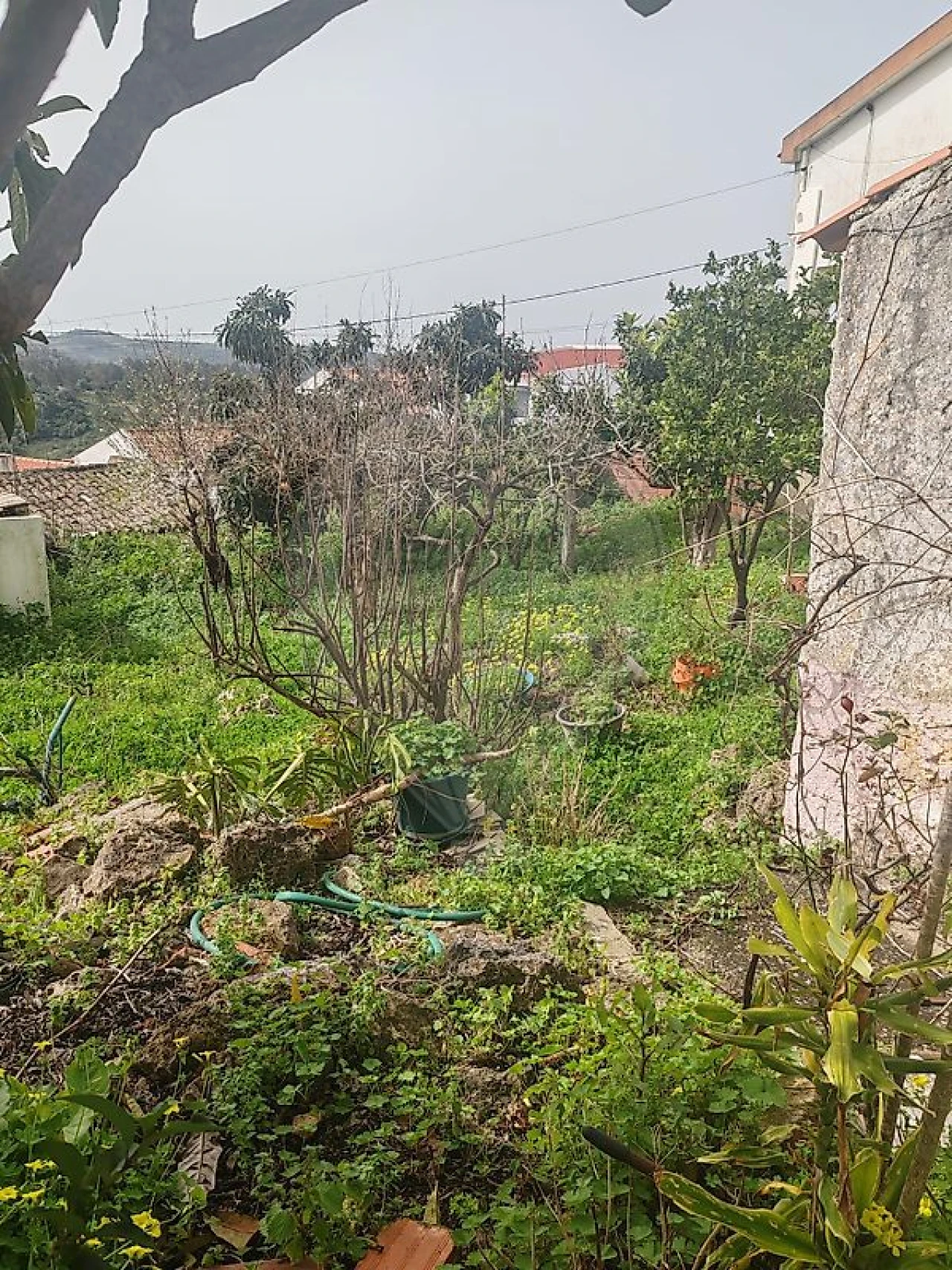 Moradia T2 para Venda em Santa Maria, São Pedro e Matacães Foto 6