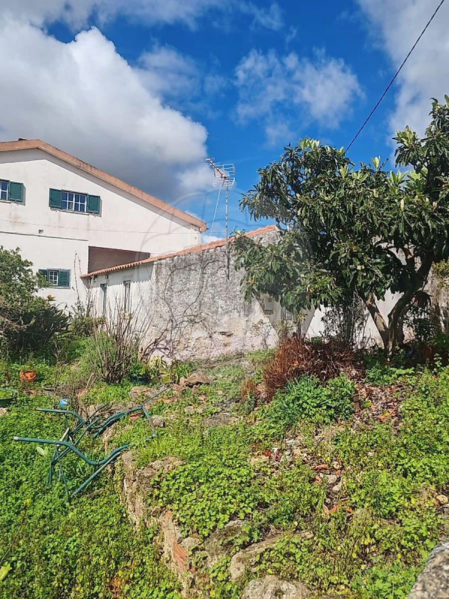 Moradia T2 para Venda em Santa Maria, São Pedro e Matacães Foto 1