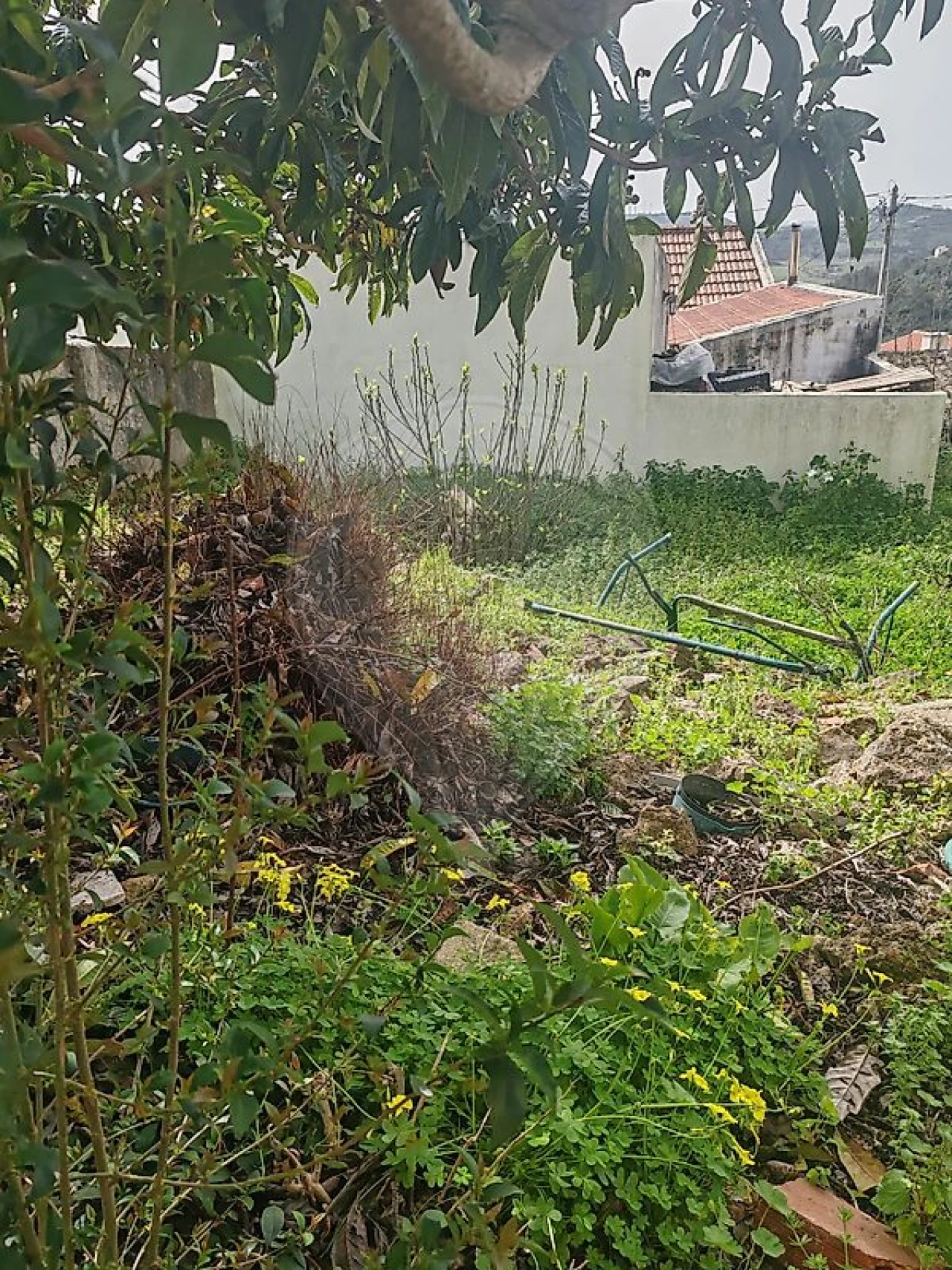 Moradia T2 para Venda em Santa Maria, São Pedro e Matacães Foto 7