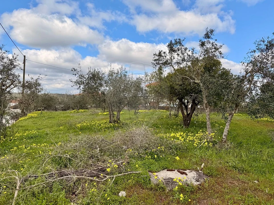 Moradia T2 para Venda em Nossa Senhora da Piedade Foto 10