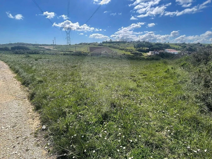 Terreno para Venda em Arranho Foto 5
