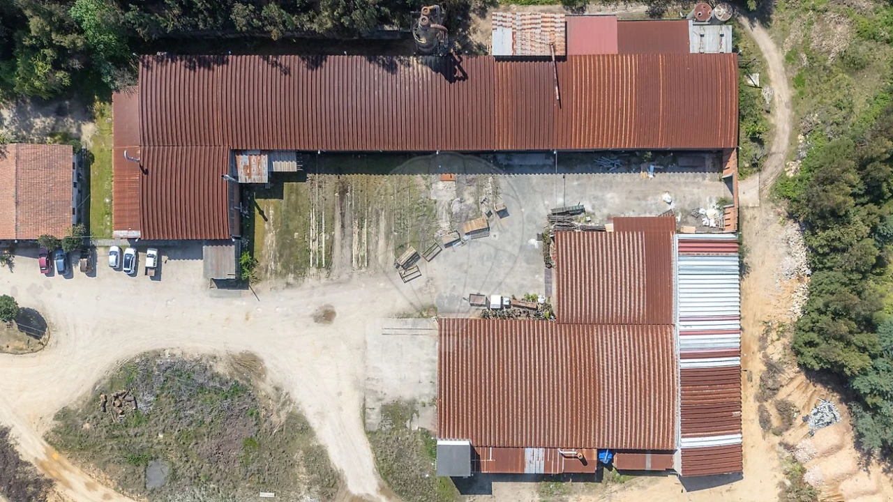 Armazém para Venda em Águeda e Borralha Foto 5