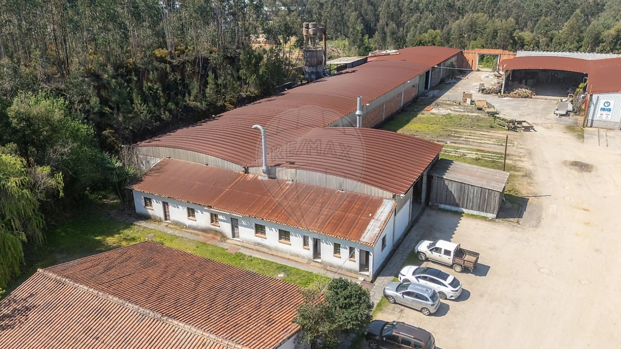 Armazém para Venda em Águeda e Borralha Foto 4