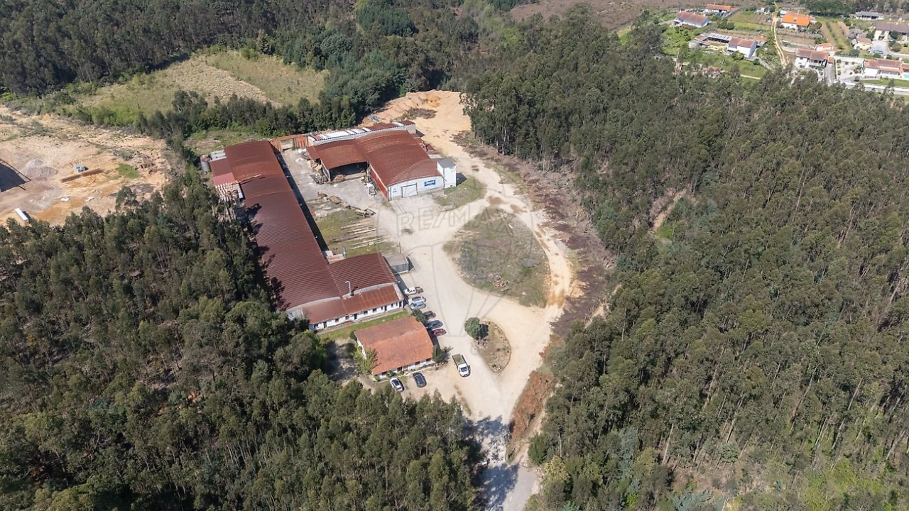 Armazém para Venda em Águeda e Borralha Foto 8