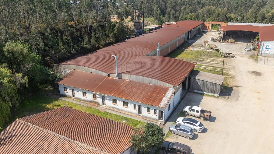 Armazém para Venda em Águeda e Borralha Foto 4