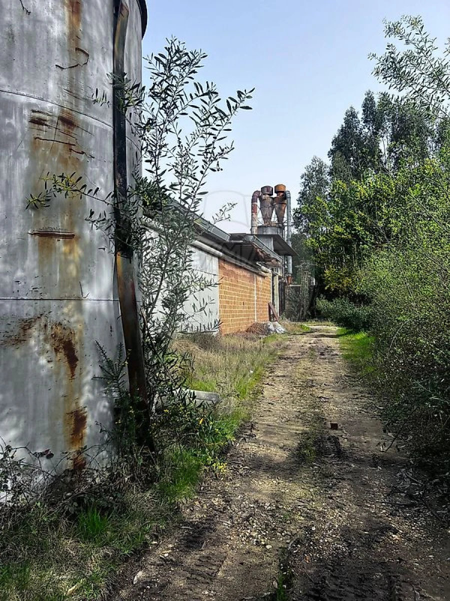 Armazém para Venda em Águeda e Borralha Foto 7