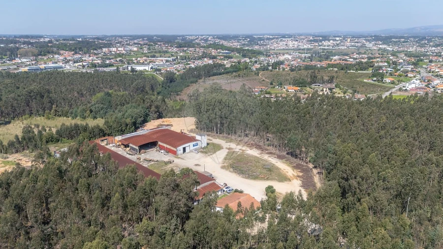 Armazém para Venda em Águeda e Borralha Foto 15