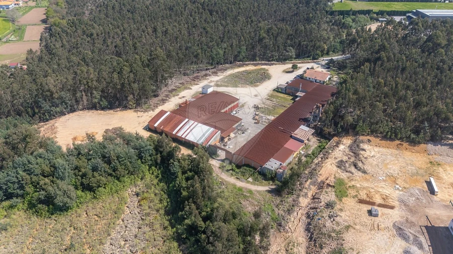 Armazém para Venda em Águeda e Borralha Foto 10