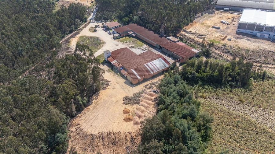 Armazém para Venda em Águeda e Borralha Foto 6