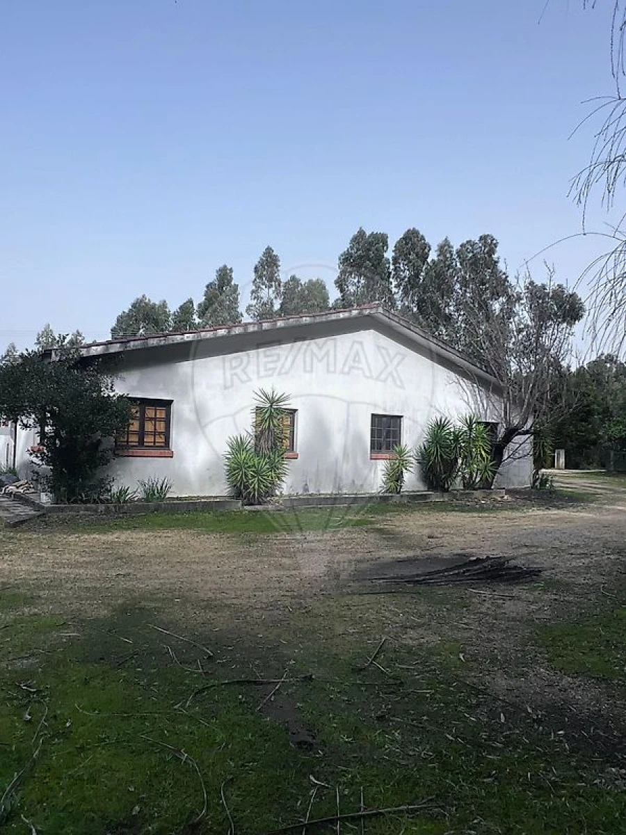 Armazém para Venda em Águeda e Borralha Foto 1