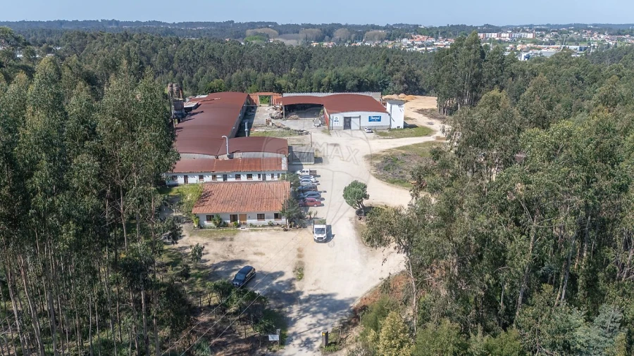 Armazém para Venda em Águeda e Borralha Foto 14