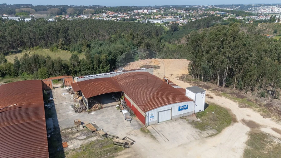 Armazém para Venda em Águeda e Borralha Foto 11