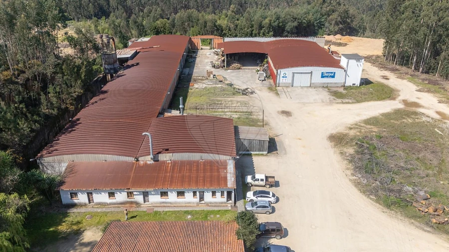 Armazém para Venda em Águeda e Borralha