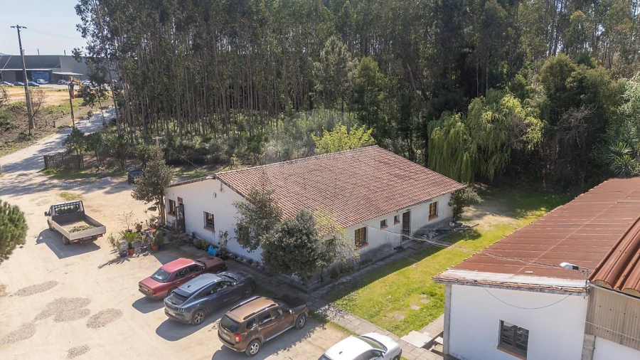 Armazém para Venda em Águeda e Borralha Foto 3