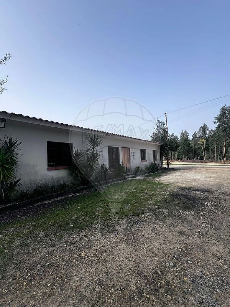 Armazém para Venda em Águeda e Borralha Foto 6