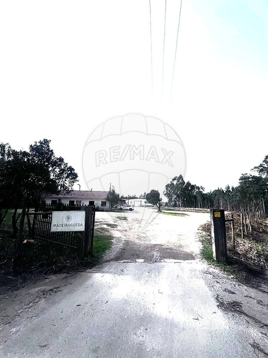 Armazém para Venda em Águeda e Borralha Foto 2