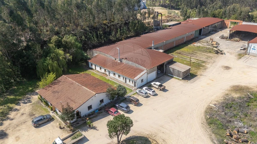 Armazém para Venda em Águeda e Borralha Foto 12