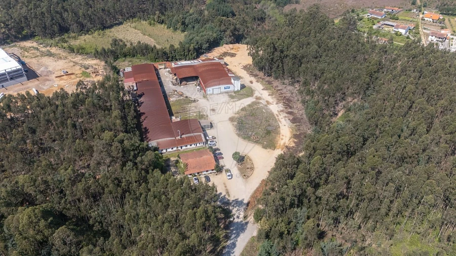 Armazém para Venda em Águeda e Borralha Foto 7