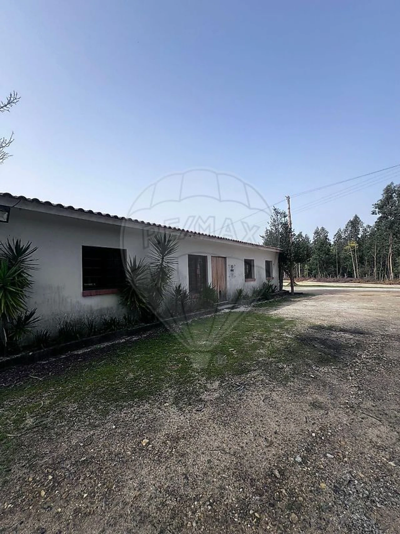 Armazém para Venda em Águeda e Borralha Foto 6