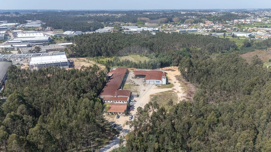 Armazém para Venda em Águeda e Borralha