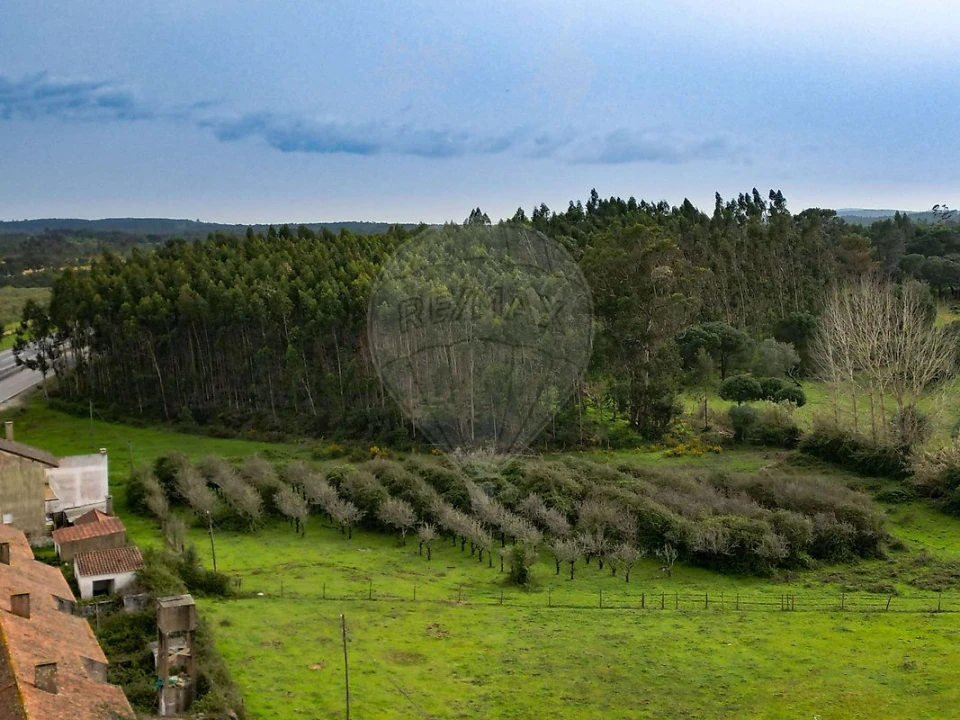 Terreno para Venda em Alcoentre Foto 8