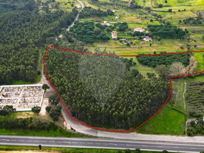 Terreno para Venda em Alcoentre Foto 6