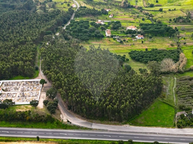 Terreno para Venda em Alcoentre Foto 7