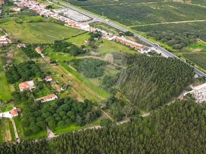 Terreno para Venda em Alcoentre Foto 5