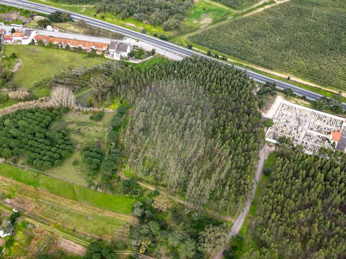 Terreno para Venda em Alcoentre Foto 4
